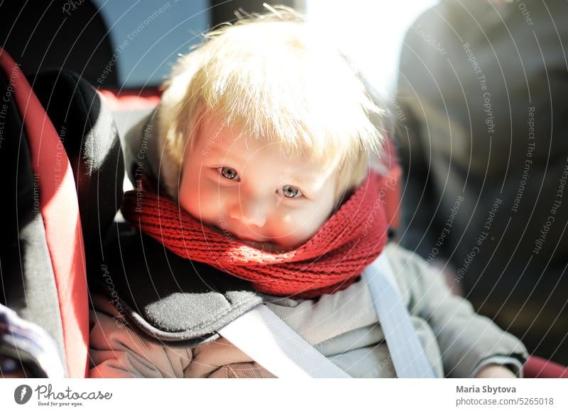 Portrait of cute toddler boy sitting in car seat. Child transportation safety child baby kid chair belt security vehicle auto infant blonde minivan face people