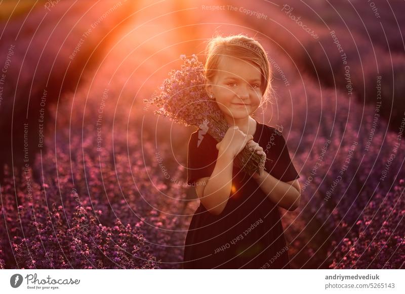 Portrait of a smiling cute girl with a bouquet of lavender flowers in her hands. A child is walking in a field of lavender on sunset. Kid in black dress is having fun on nature on summer holiday.