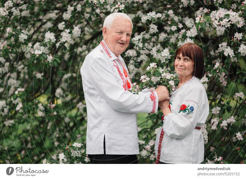 Love story of an old married couple.Beautiful couple in the national embroidered shirt of Ukrainian shirts. Photo shoot in the spring garden adult love mature