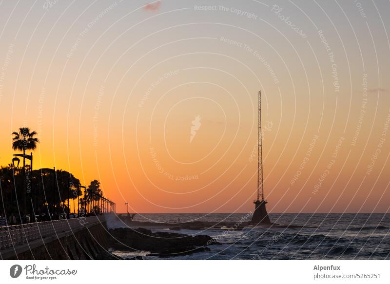 Traces | of clouds Sunset Dusk sunset Ocean Mediterranean sea Horizon Waves Palm tree Water Twilight Lighthouse Exterior shot Vacation & Travel Sunlight
