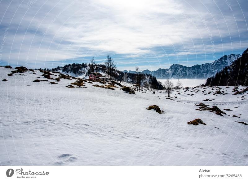 2023 02 18 Campogrosso snowy landscape 3 panorama italy view alpine alps veneto europe nature tourism outdoor mountain travel mountains scenery hiking scenic