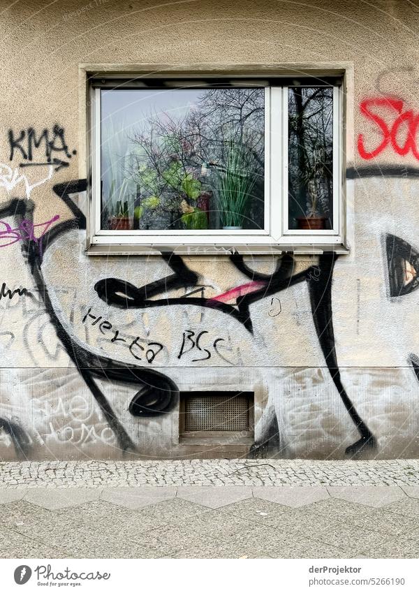 House wall with window and graffiti in Kreuzberg Deserted Copy Space middle Structures and shapes Copy Space top Pattern Abstract Contrast Exterior shot