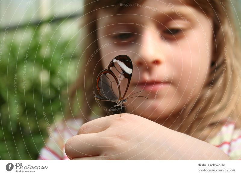Nina and the Butterfly Child Insect Nature