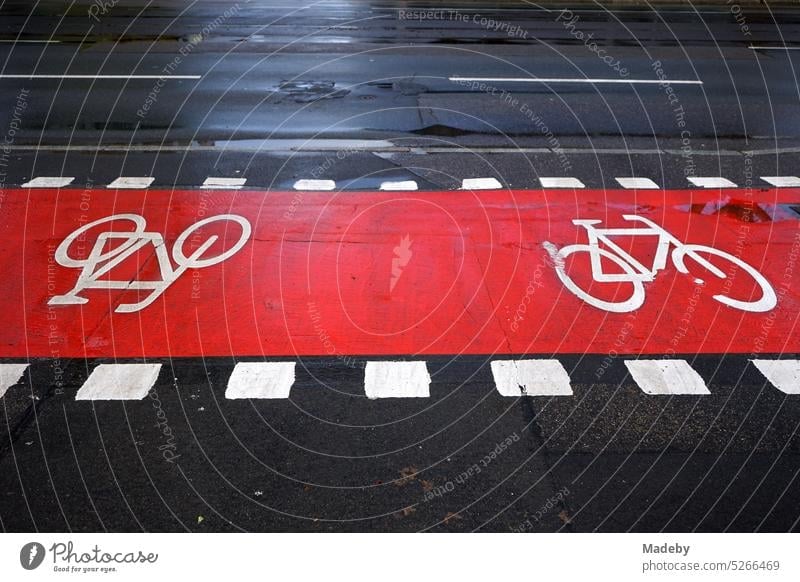 Road marking in red and white on gray asphalt for the bike lane with bollards after rain in the sunshine on Hanauer Landstraße in the Ostend of Frankfurt am Main in the German state of Hesse