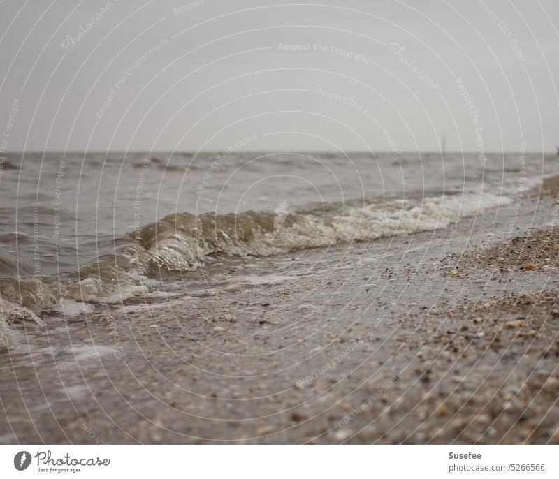 Sea washes up on the beach with horizon, shells and sand Ocean Minimalistic minimalism Simple Nature Landscape Water coast Lonely Loneliness Freedom Waves