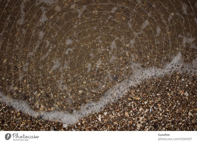Sea washes up on the beach with shells and sand Ocean Minimalistic minimalism Simple Nature Landscape Water coast Lonely Loneliness Freedom Waves seashells Sand