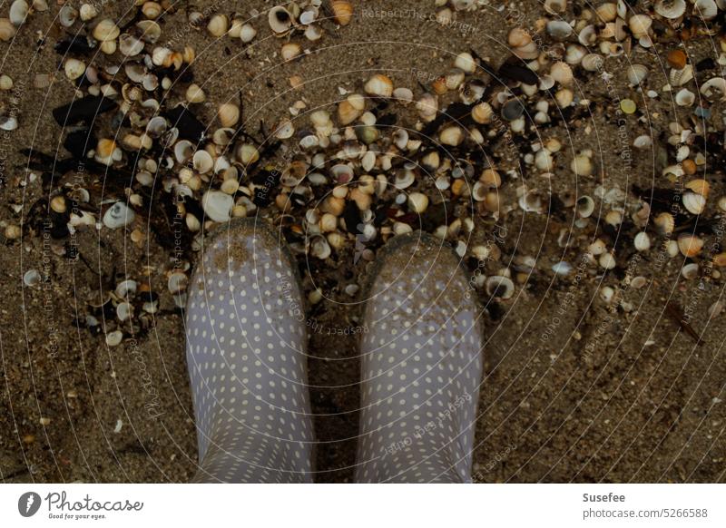 Dotted rubber boots on the beach among shells Beach seashells Sand Rubber boots Ocean coast Vacation & Travel Nature Landscape Tourism Relaxation Water