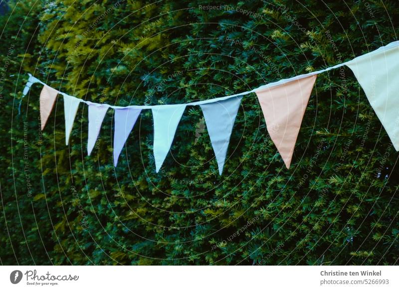 A colorful pennant chain in delicate colors hangs in front of a hedge variegated romantic Feasts & Celebrations Decoration Multicoloured Birthday