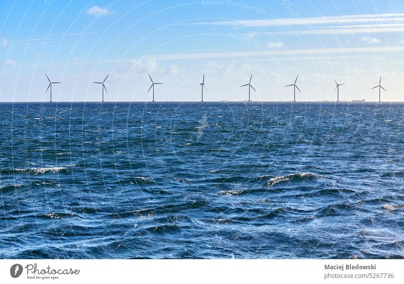 Sea with a row of offshore wind turbines in distance on a sunny day. energy sky farm industrial environment power renewable industry sea seascape sustainable