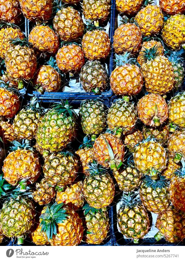 many fresh and ripe harvested pineapple in a pile Pineapple Fruit Fresh cute Mature Tropical Summer Exotic Juicy Delicious Yellow Food Healthy naturally Organic