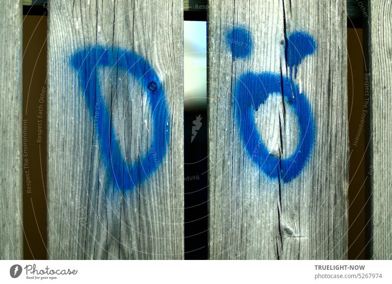 Wood boards fence gray with gap to see through and D|ö graffiti letters blue Raw two Gray Goal Fence Close-up Sunlight Letters (alphabet) Graffiti writing Word