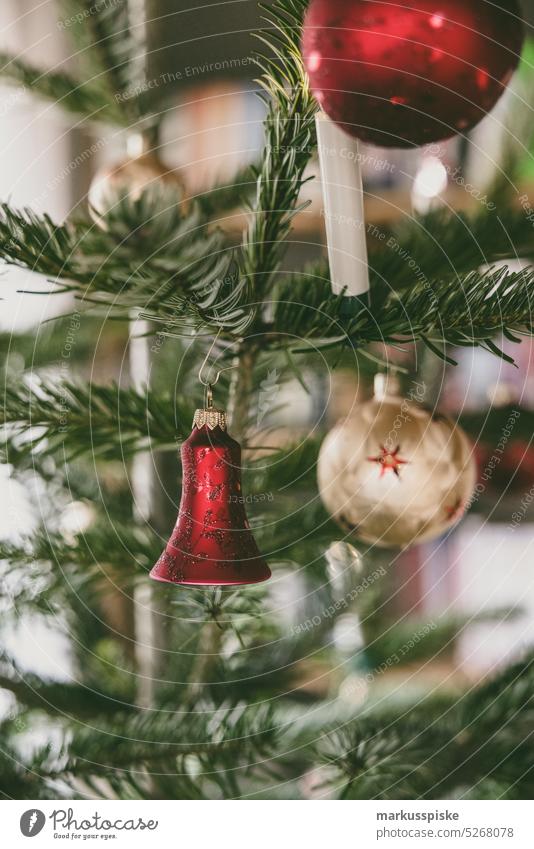 Christmas tree decoration christmas bauble christmas bell christmas gift christmas party Christmas present Christmasy close up decorate English holly fir tree