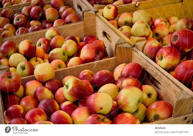 Apples in boxes apples crates Crate sale Sell Shopping Fruit Food Fresh Healthy Nutrition Delicious Red Harvest Apple harvest Markets Market stall Supermarket