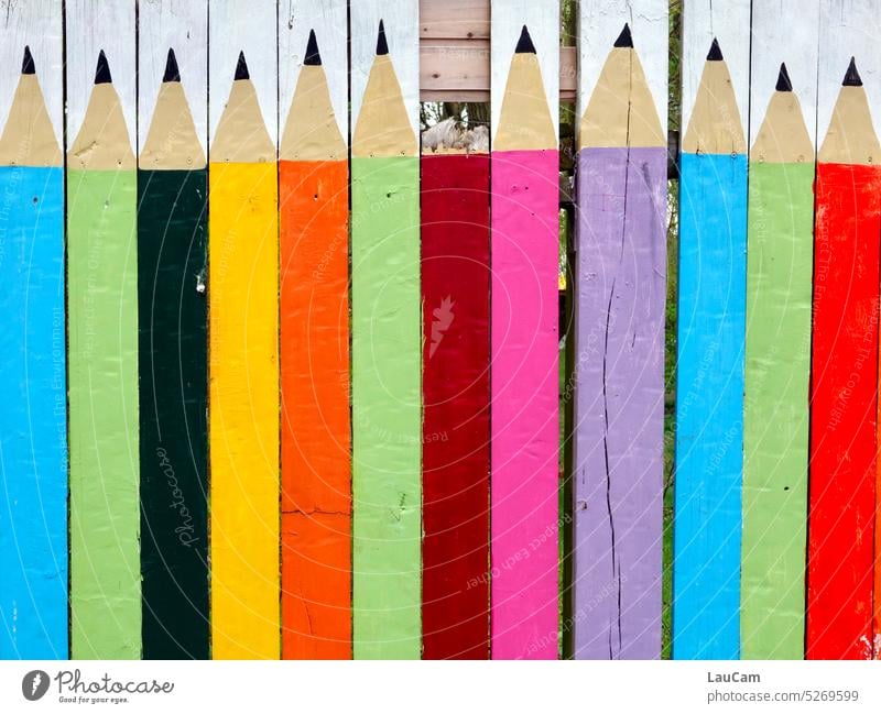 Still all the bars in the fence? Fence crayons Crayon lattice fence sharpen Sharpener Wood Multicoloured neighbourhood Creativity Point Draw Stationery