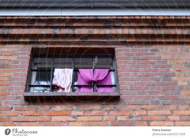 Clothes on a window grille garments window grilles Window Wall (barrier) masonry Exterior shot pink Wall (building) Facade Deserted Manmade structures