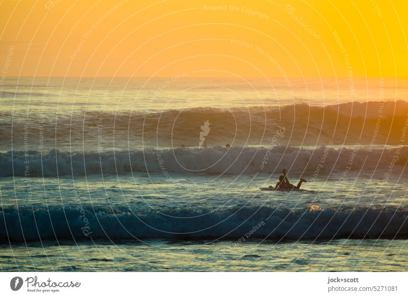 On the surfboard just after sunrise Surfer Waves Ocean Surfing Sports Aquatics Lifestyle Sunrise Morning Sunlight Back-light Silhouette Nature South Pacific