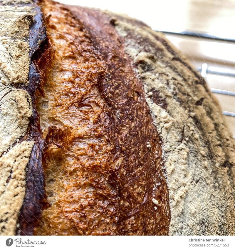A freshly baked loaf of bread with a beautiful crust lies on a cooling grid Self-made Bread love Crisp Crust Rustic Delicious Aromatic Surface bread and butter