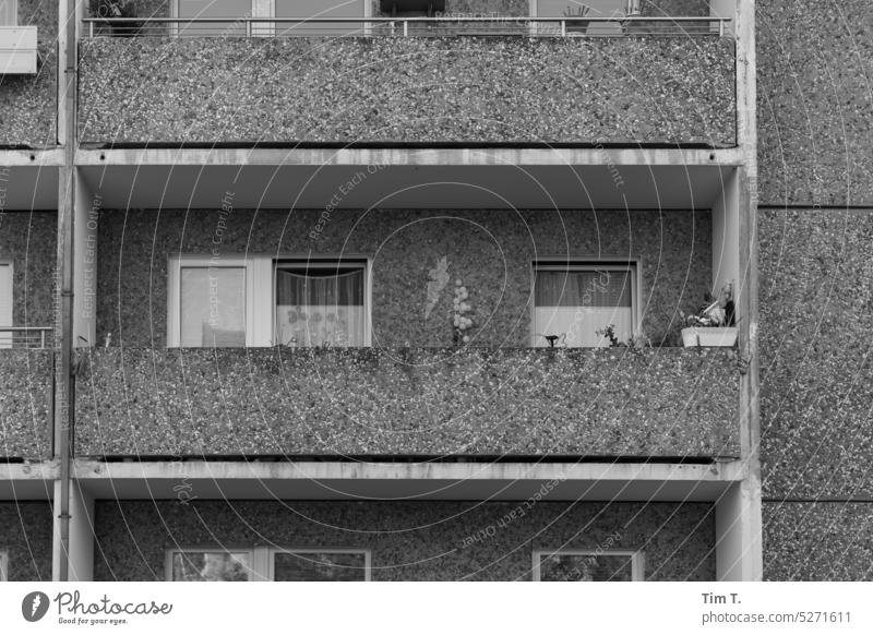 Prefabricated balcony Balcony Berlin Prefab construction b/w Middle Exterior shot Architecture Black & white photo Deserted Capital city Downtown Town Day
