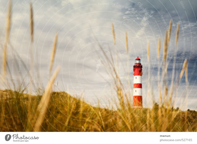 abdominal bandage Nature Landscape North Sea Island Lighthouse Manmade structures Architecture Tourist Attraction Vacation & Travel Colour photo Exterior shot