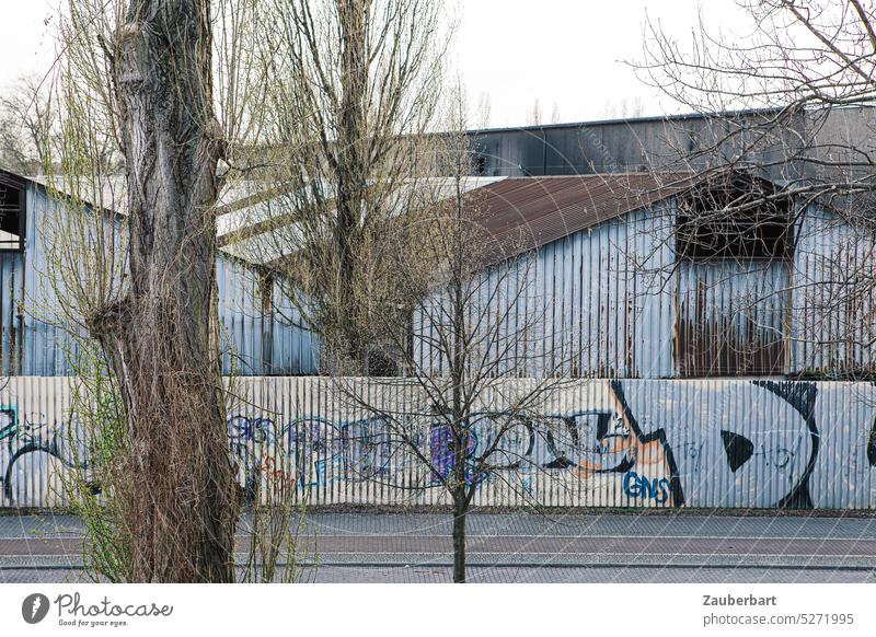 Trees with spring greenery in front of corrugated iron halls with graffiti Spring Corrugated sheet iron Factory Warehouse Graffiti Gray Contrast Town Nature