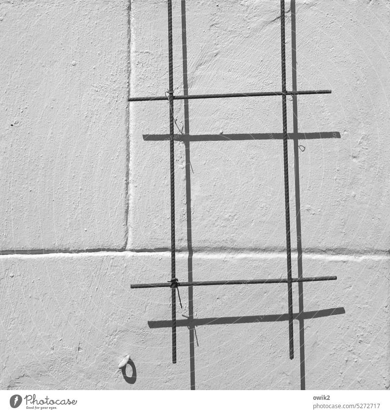 # Wall (building) detail Black & white photo Grating Prop linkage lines Abstract Sunlight Contrast Minimalistic Copy Space left Structures and shapes Shadow