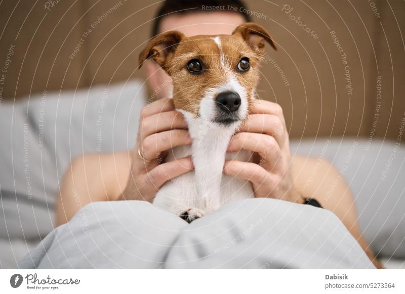 Man sleeping on bed with dog. Pet affection man bedroom together lazy pet animal morning lying adorable resting canine care chill comfortable cozy cute domestic