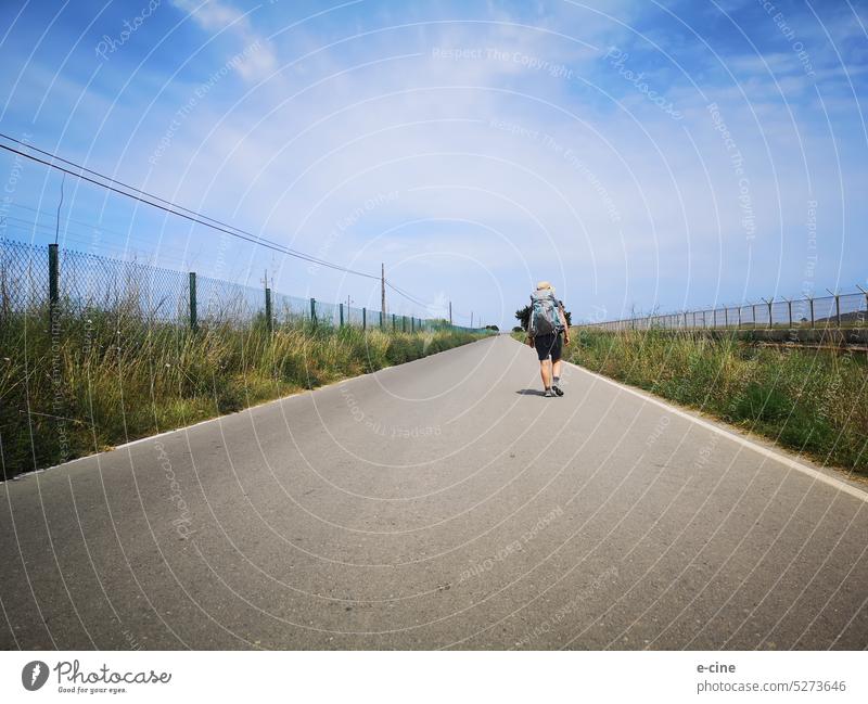 Trekking with backpack on long straight road in sunshine Sun Sunlight Street Right ahead Fence always straight ahead trekking Hiking Backpack ardor