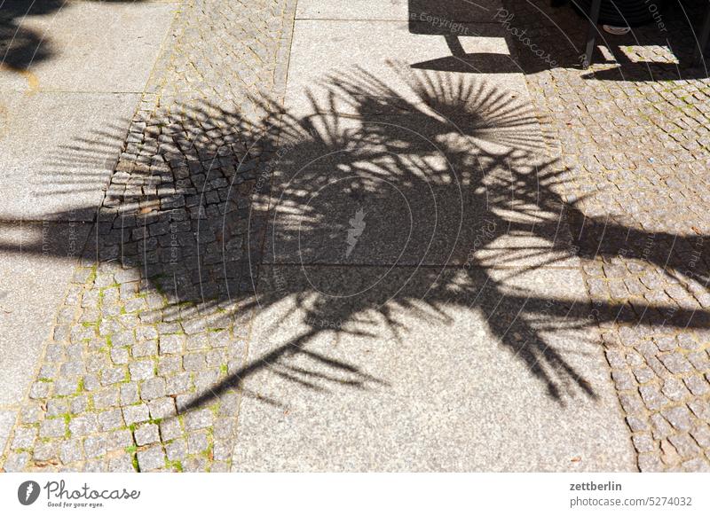 Shadow on the sidewalk Architecture Berlin city Germany Worm's-eye view Capital city downtown Kiez Life Middle Modern New building Places Town city district