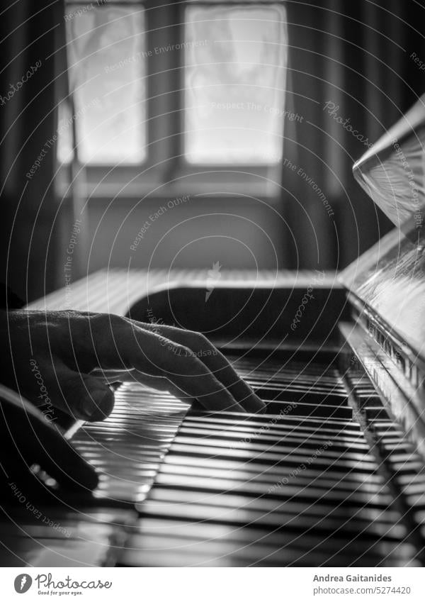 Partial shot hands of a piano player, view from the side, in the background blurred a window, vertical, black and white Piano Play piano Piano keys