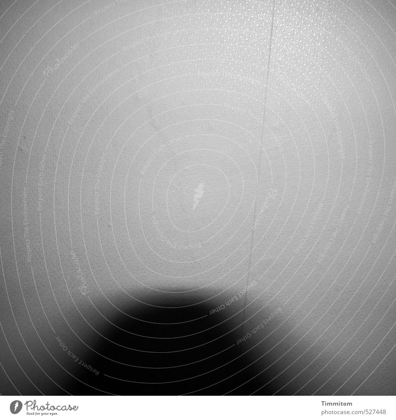 Fuhgeddaboudit! Wallpaper Room Wall (building) Pattern Line Shadow Movement Motion blur Observe Looking Threat Dark Gray Black Emotions Fear Irritation