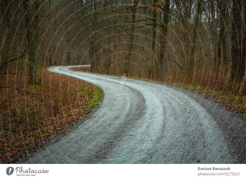 Double bend on the gravel road in the forest double curve tree travel nature transportation autumn outdoor landscape season journey no people photography