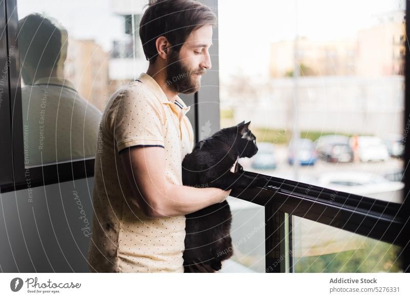 Content man with black cat near window calm owner cityscape pet home street curious relax young male casual animal admire domestic thoughtful apartment beard