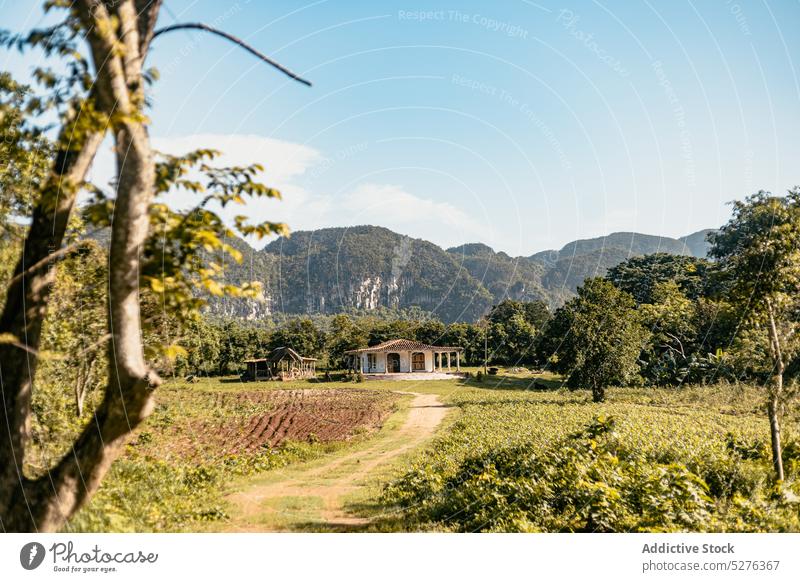 Rural house with agricultural field near mountains village tree agriculture blue sky nature countryside picturesque cuba highland landscape scenery sun building