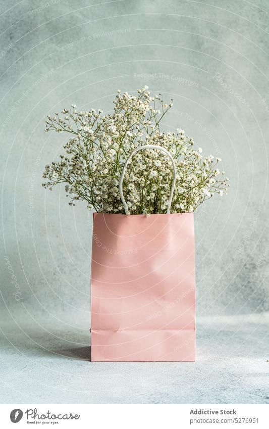Pink paper bag and white Gypsophila floral Gypsophila muralis Psammophiliella annual gypsophila background bloom blossom color concrete cushion baby's-breath
