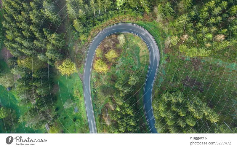 Bend in the forest aerial view Curve Street Forest trees Tree Green Nature drone droning S Curve from on high Yellow Thuringia Esthetic hairpin bend