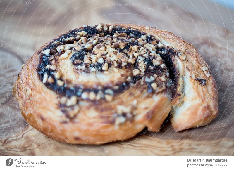 A nut snail Nut bun from yeast dough biscuits pastry cute olive wood Food Dessert