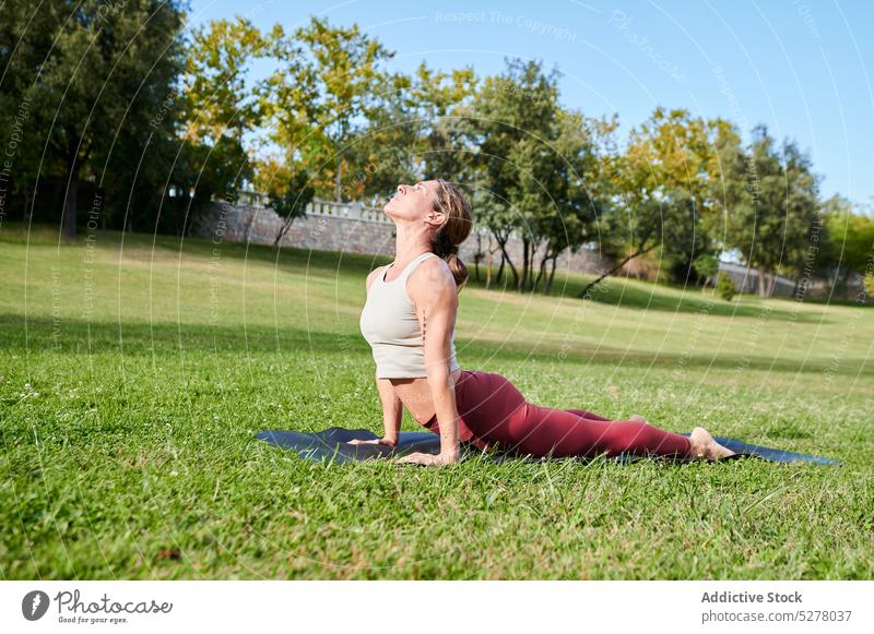 Flexible woman practicing yoga in cobra pose in park asana bhujangasana flexible spirit stretch vitality female grass lawn health care training harmony summer
