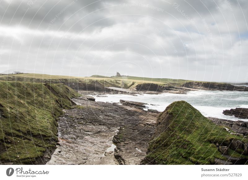 Rugged Ireland coast castle plate tectonics Water Landscape Rock Colour photo Ocean Loneliness