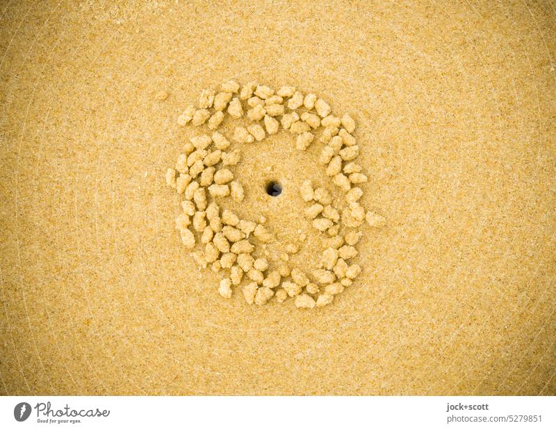 Sand crab leaves sand pellets on beach Nature Abstract Structures and shapes Neutral Background Hole Tropical Background picture Minimalistic Surface Australia