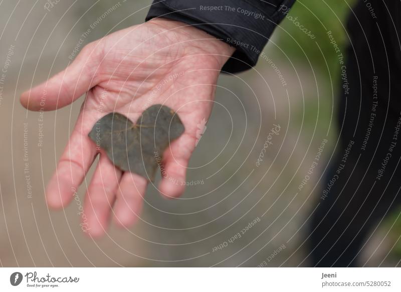 Better the heart in the hand than the leaves in the street Heart Leaf withered Heart-shaped Heart (symbol) Symbols and metaphors Emotions Sign Valentine's Day