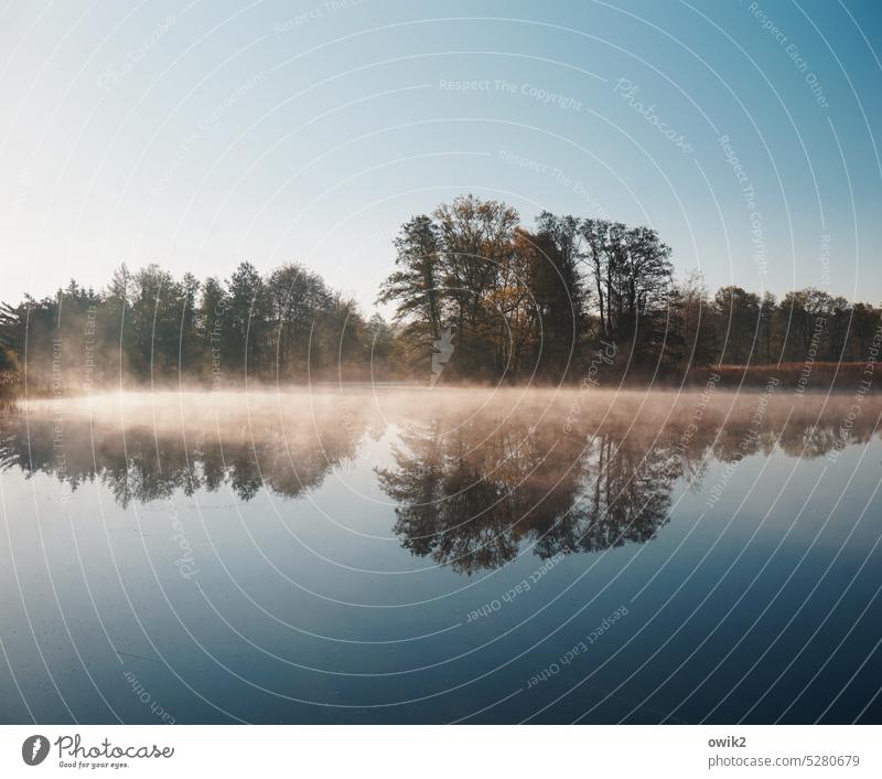 Cut-off device Pond Body of water Mystic Water Calm silent trees Surface of water flooded with light Mysterious Water reflection tranquillity Nature