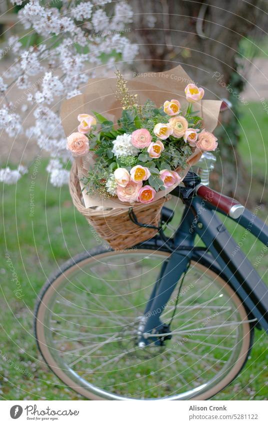 bicycle with vintage bike basket filled with flowers under a cherry tree Bicycle bicycle basket Bike baskets pink flowers orange flowers vintage basket