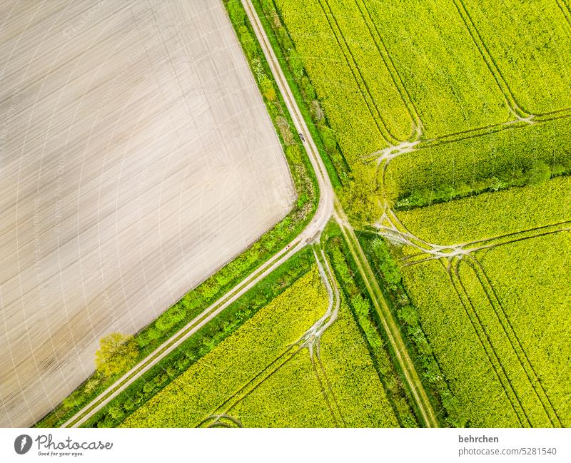 Withdrawn Light green Spring Bird's-eye view from on high drone Sunlight Colour photo Home country Seasons Weather Exterior shot Landscape Environment fields
