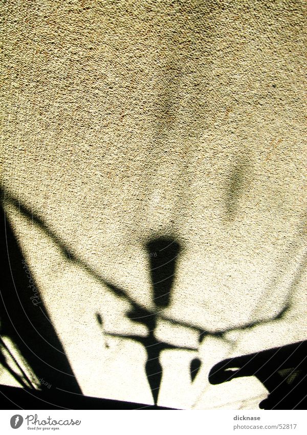 midday shadow rug Carpet Midday Shadow