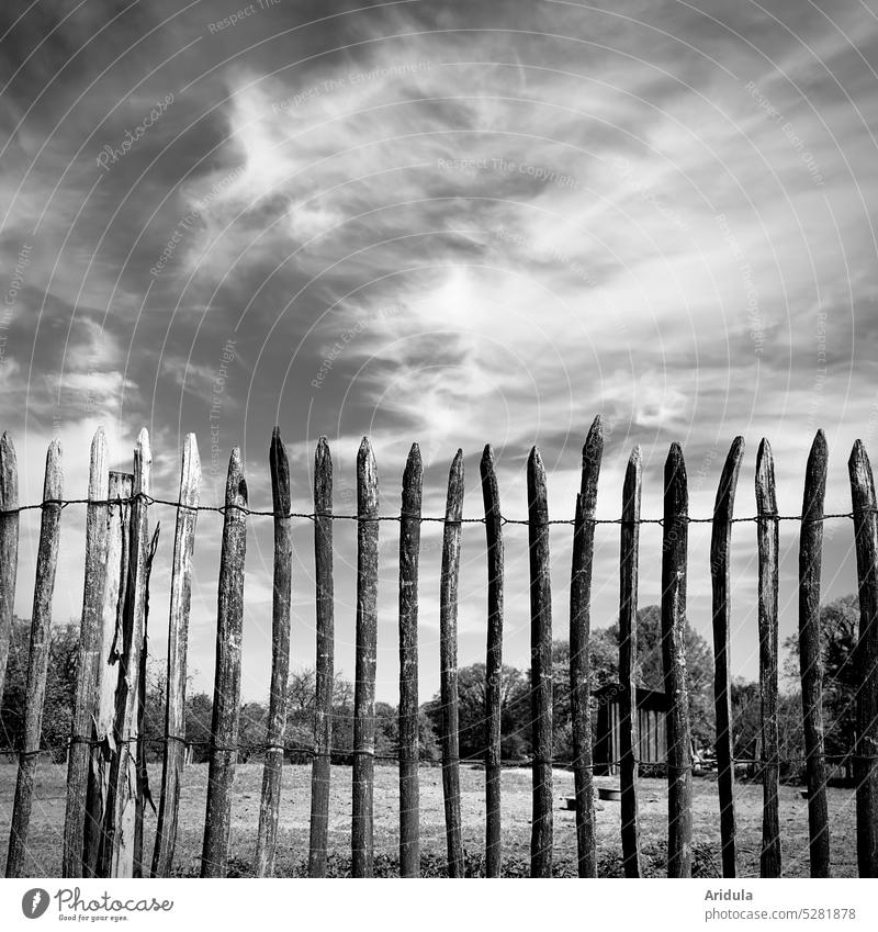 Pasture fence with veil clouds b/w Fence Willow tree sheep pasture Sheep shed Wood Border Deduction Meadow Clouds Black White Agriculture Sky Grass Spring Vista