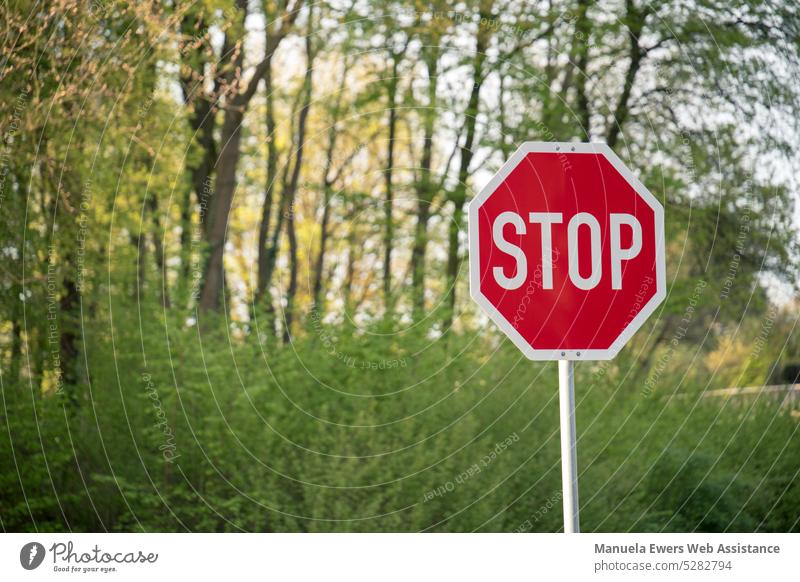 A red stop sign in front of a small patch of forest Stop sign Nature Environment Green Red Contrast complementary Hold resistance Destruction Road sign