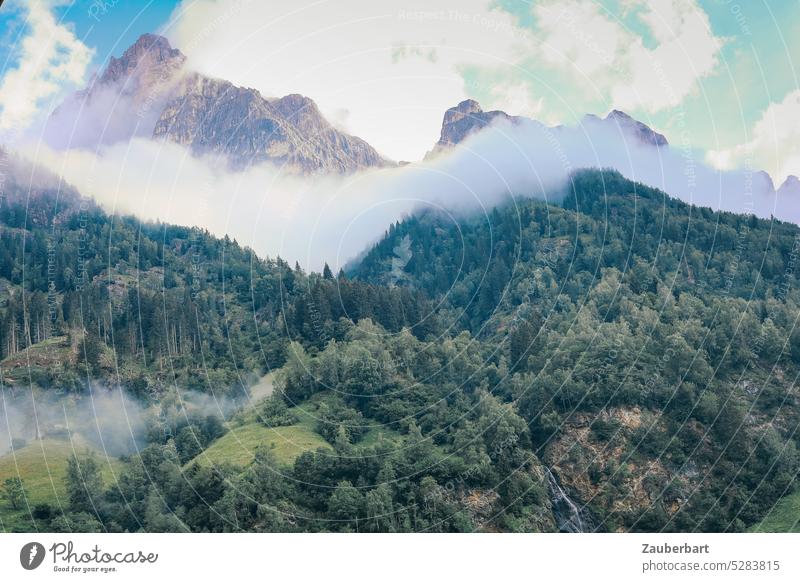 A band of clouds stretches across the forest in front of rocky peaks in South Tyrol Band of cloud mountain Peak Forest Clouds Sky Hiking wanderlust Nature