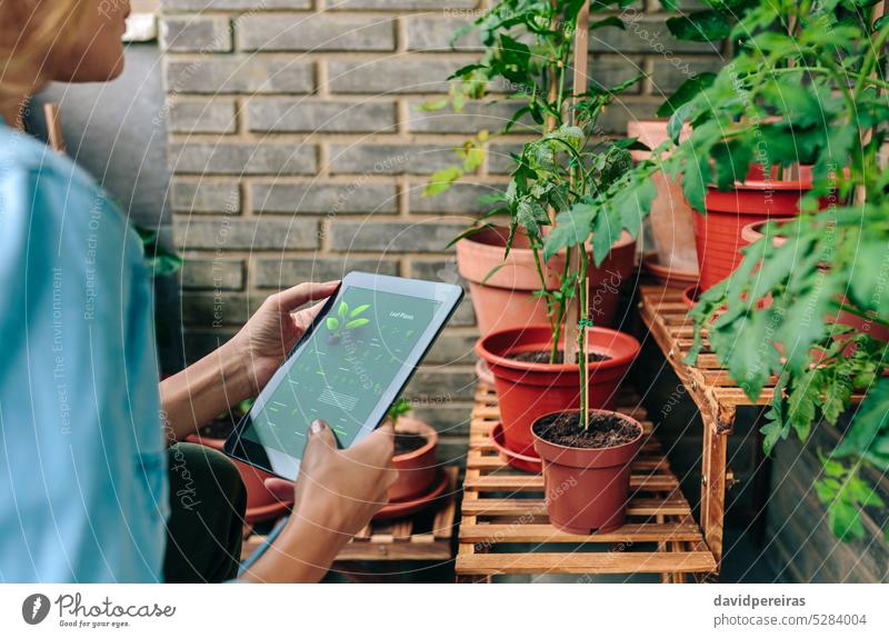 Woman using gardening app with artificial intelligence to care plants of urban garden on terrace gardener woman unrecognizable female application ai tablet
