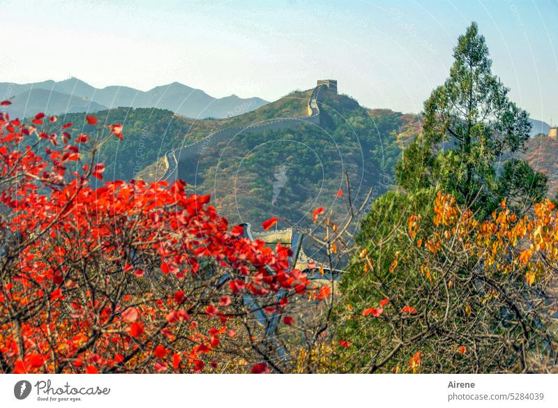China colors Great wall mountain Red Yellow Green Colour Autumn leaves Wall (barrier) plants shrub Hill Peak Border wall Stone wall Lanes & trails Steep