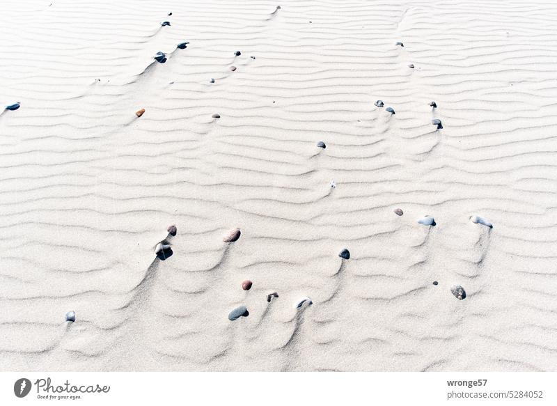 Many small stones lie on a sandy beach full of ripple marks Baltic Sea Sand Beach Baltic beach Baltic coast Nature Ocean Vacation & Travel wind ripple